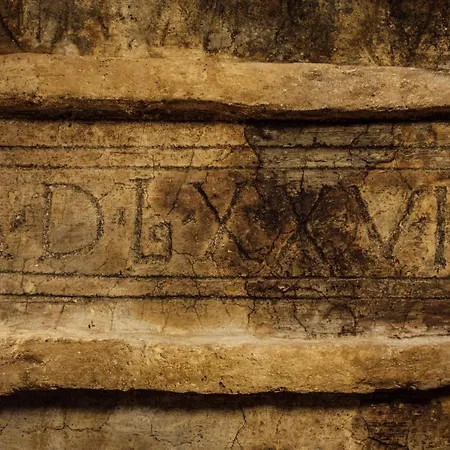 图诺夫斯卡酒店 *